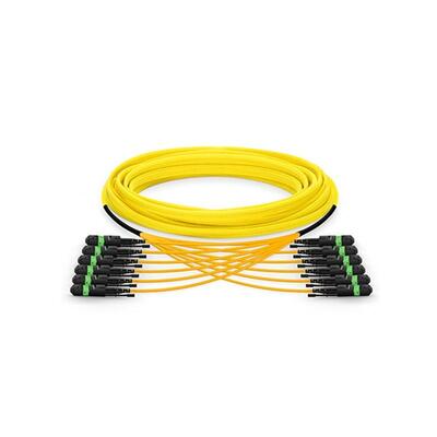 144F MPO MTP-trunkkabel robuust voor ruggengraat van datacenters met een hoge dichtheid